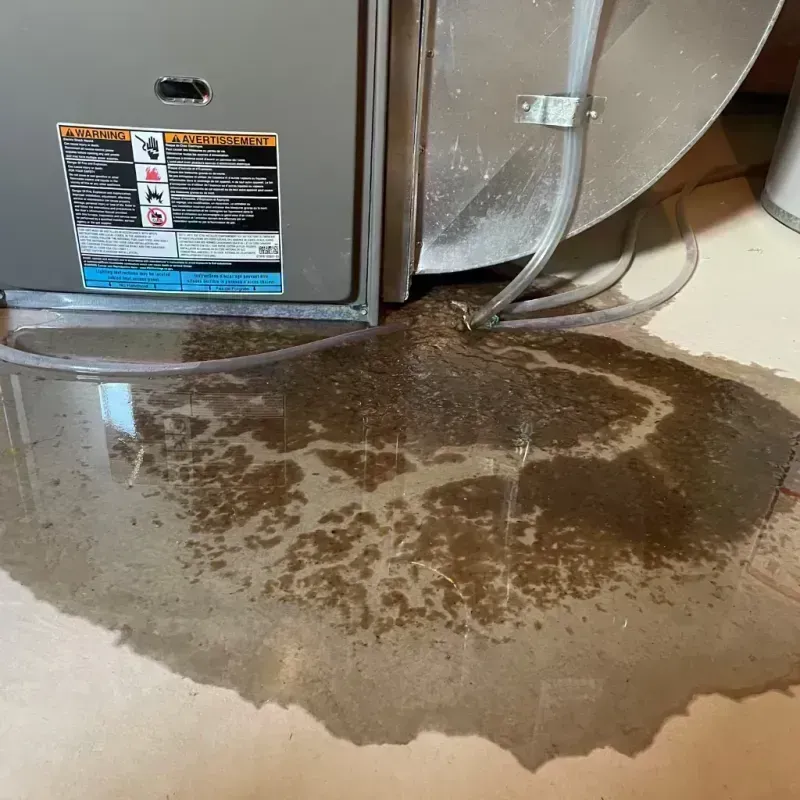 Appliance Leak Cleanup in Menomonee Falls, WI